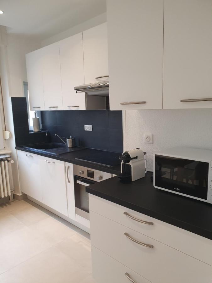 Appartement De Prestige Au Centre Climatise Avec Jardin Prive Colmar Luaran gambar