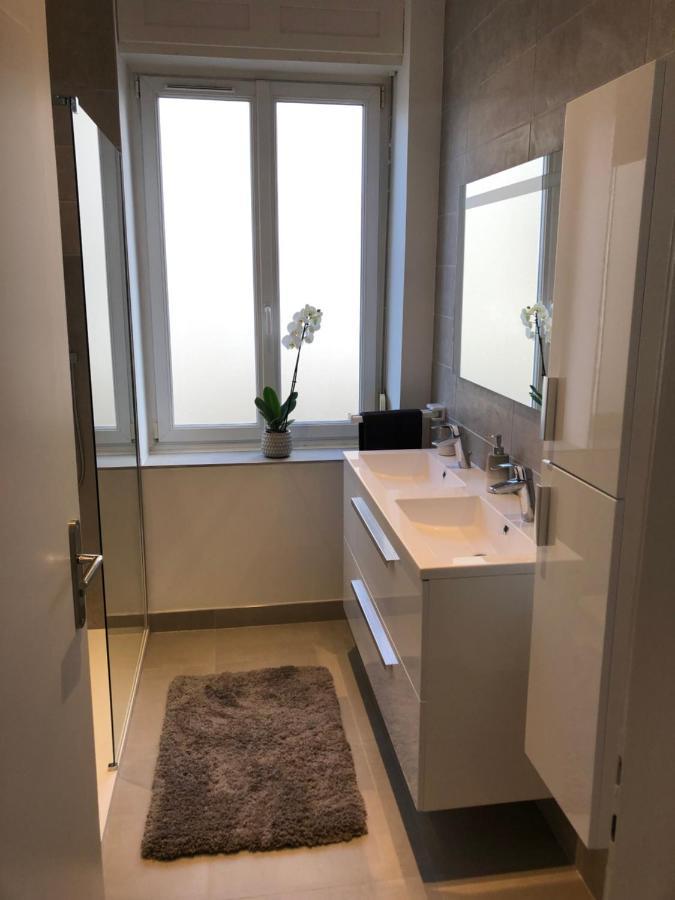 Appartement De Prestige Au Centre Climatise Avec Jardin Prive Colmar Luaran gambar