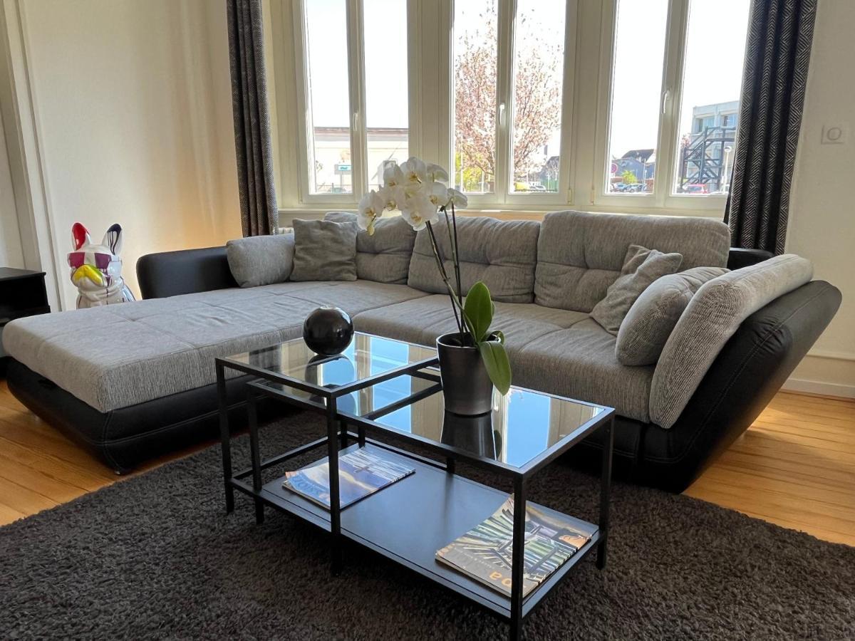 Appartement De Prestige Au Centre Climatise Avec Jardin Prive Colmar Luaran gambar