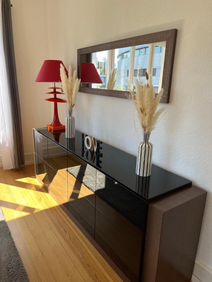 Appartement De Prestige Au Centre Climatise Avec Jardin Prive Colmar Luaran gambar