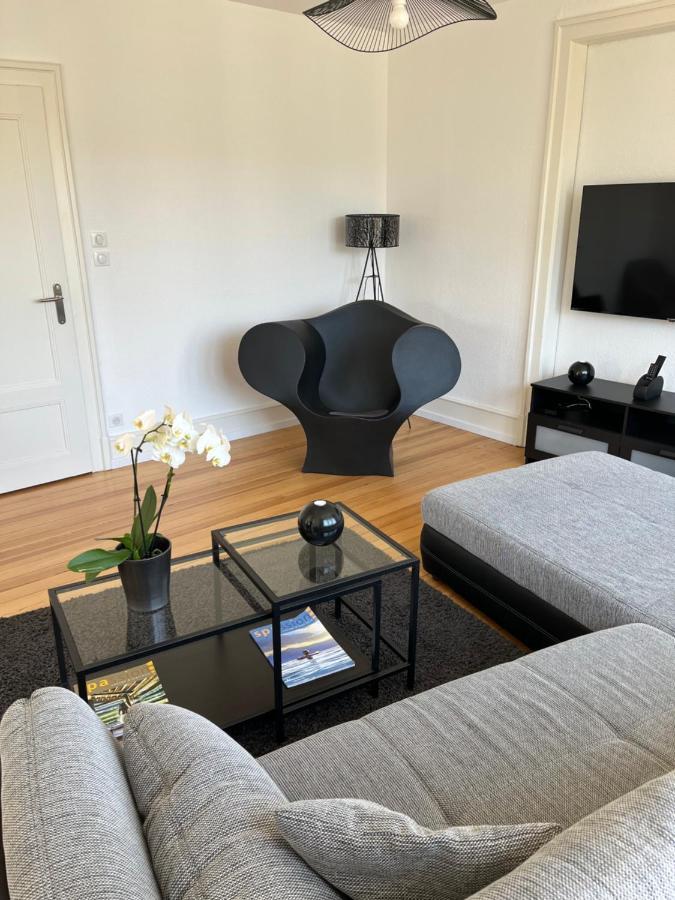 Appartement De Prestige Au Centre Climatise Avec Jardin Prive Colmar Luaran gambar