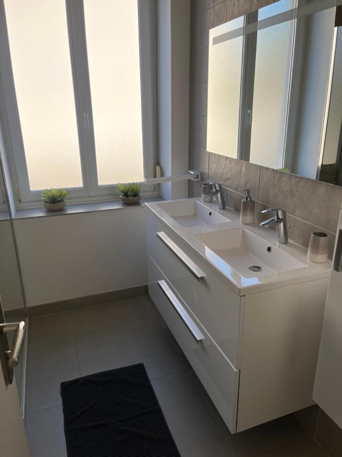 Appartement De Prestige Au Centre Climatise Avec Jardin Prive Colmar Luaran gambar