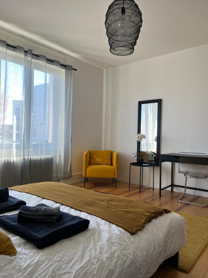 Appartement De Prestige Au Centre Climatise Avec Jardin Prive Colmar Luaran gambar