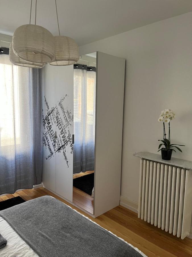 Appartement De Prestige Au Centre Climatise Avec Jardin Prive Colmar Luaran gambar
