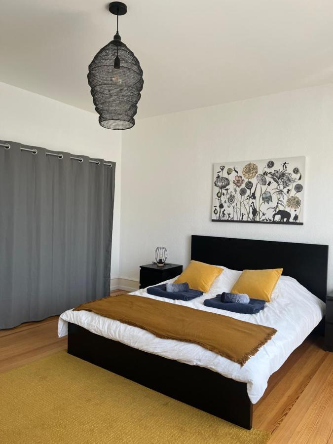 Appartement De Prestige Au Centre Climatise Avec Jardin Prive Colmar Luaran gambar