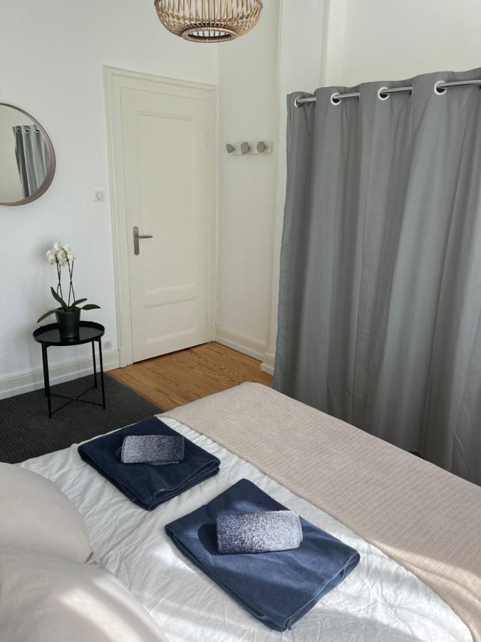 Appartement De Prestige Au Centre Climatise Avec Jardin Prive Colmar Luaran gambar