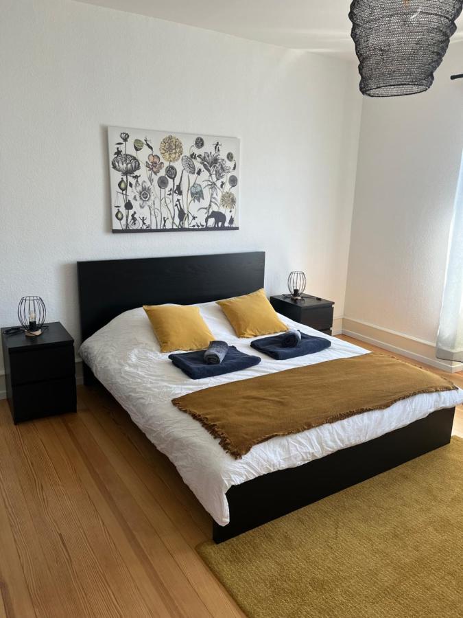 Appartement De Prestige Au Centre Climatise Avec Jardin Prive Colmar Luaran gambar