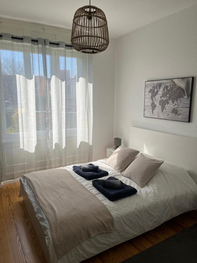 Appartement De Prestige Au Centre Climatise Avec Jardin Prive Colmar Luaran gambar