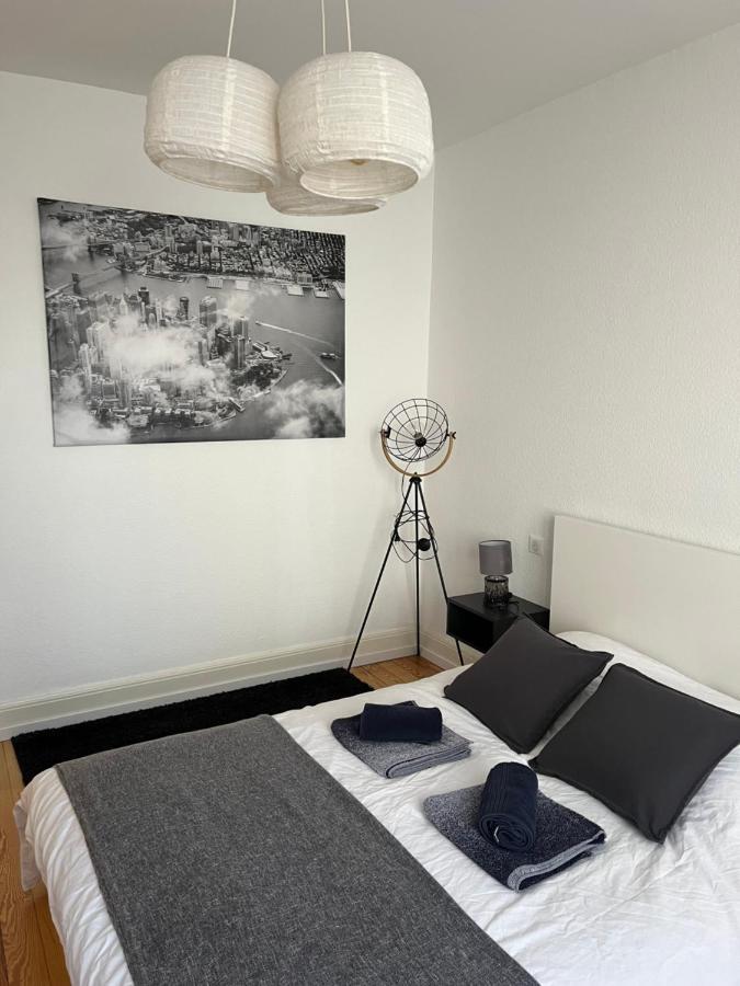 Appartement De Prestige Au Centre Climatise Avec Jardin Prive Colmar Luaran gambar