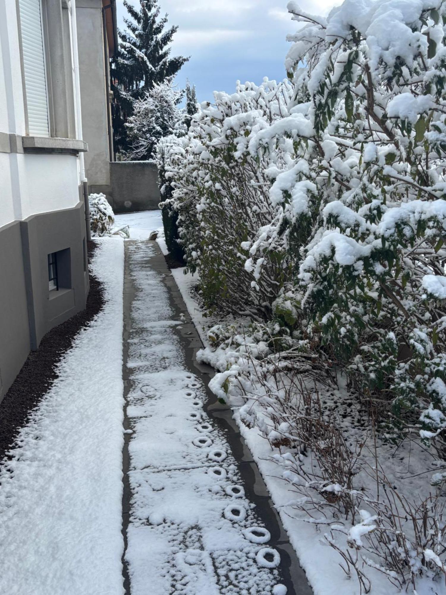 Appartement De Prestige Au Centre Climatise Avec Jardin Prive Colmar Luaran gambar